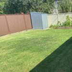 Back yard after lawn mowing