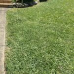 Front yard after edging