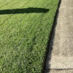 Lawn mowing and edging